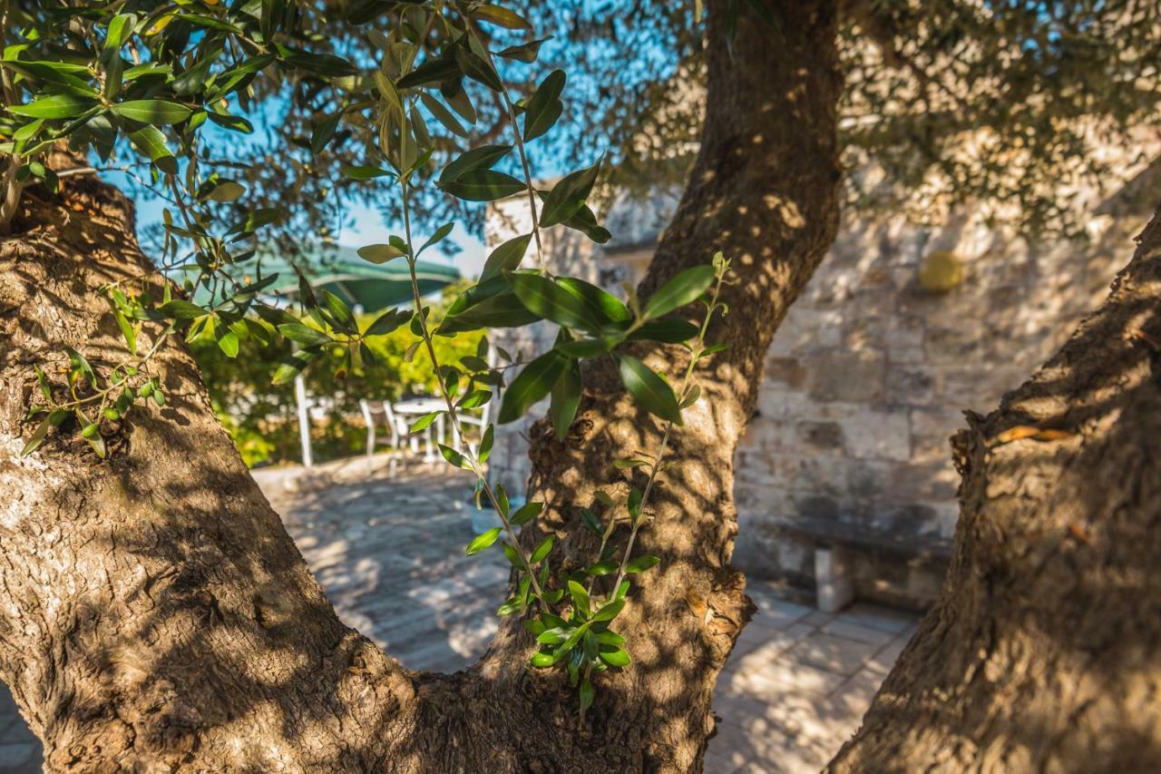 Trullo Olive Tree Vila Locorotondo Exterior foto